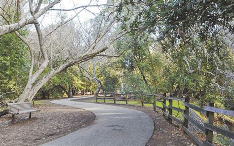 Twin Pines Park’s shady past | Local News | smdailyjournal.com