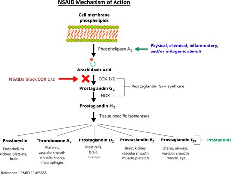 NSAID MOA illustration