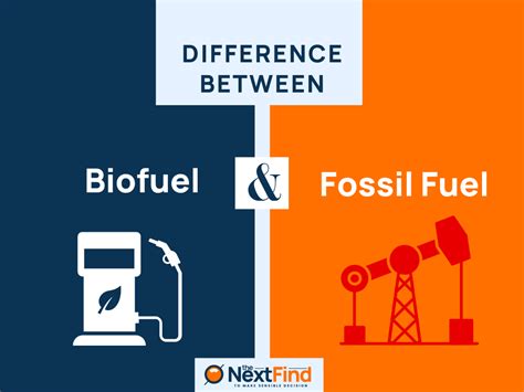 20+ Differences Between Biofuel And Fossil Fuel (Explained)