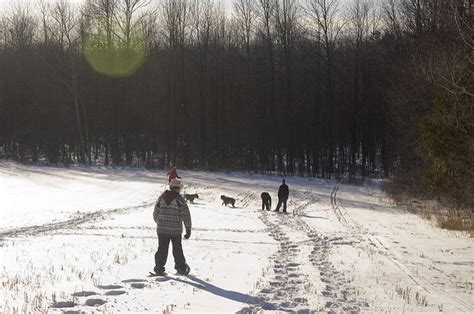 Snowshoeing Trails in NH: Nestlenook Farm