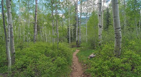 Easy Hikes Near Durango: Purgatory Flats Trail – Territory Supply