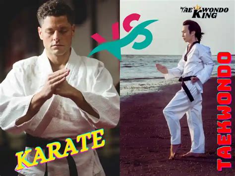 What is the Difference Between Karate and Taekwondo? - Taekwondo King