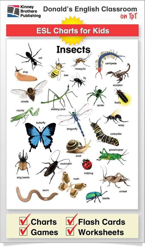 Insect Charts Interactive Notebooks ESL ELL Newcomer | Learning english ...