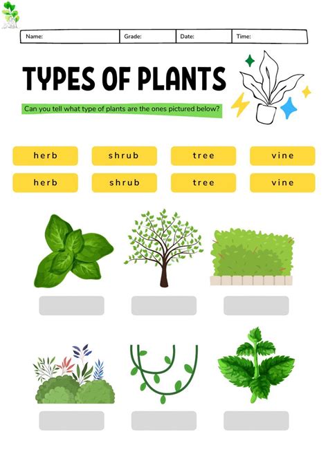 Free types of flowering plants worksheet worksheet for kids – Artofit