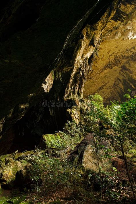 Rock formations in cave stock photo. Image of stalagmite - 165247746