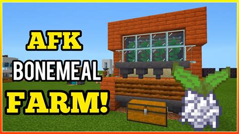 Fully AFK BONE MEAL FARM for Minecraft bedrock edition 1.18 | (0 Tick Kelp Farm Tutorial) - YouTube