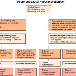 Algorithm for principles of investigation and treatment of different... | Download Scientific ...