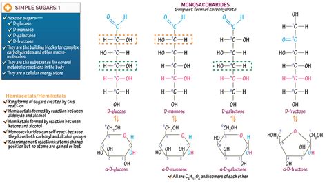 Linear Structure Chemistry