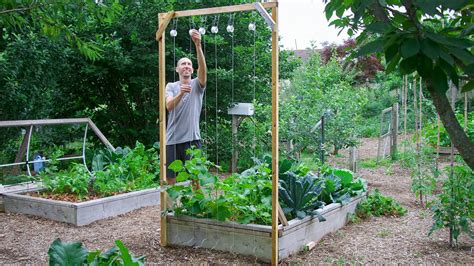 How to Build a Cucumber Trellis Using Only ONE PIECE of WOOD, CHEAP and EASY Backyard Gardening ...