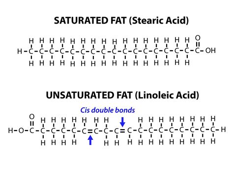 Unsaturated Fatty Acid Medical Definition at James Wadkins blog