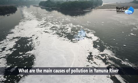 What are the main causes of pollution in Yamuna River