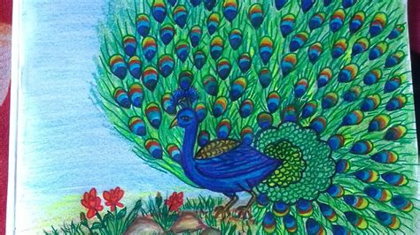 Easy Peacock Scenery Drawing - How to draw easy and simple scenery for ...