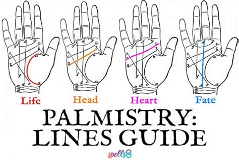 Palm Reading Guide: How to Read your Own Palm – Spells8