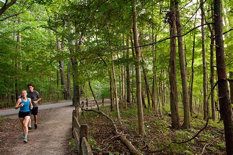 Experience nature at Eagle Creek Park, one of the nation’s largest city parks. - Life In Indy