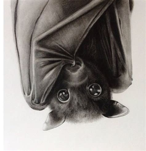 Super cute bat. … | Bat tattoo, Cute bat, Bat art