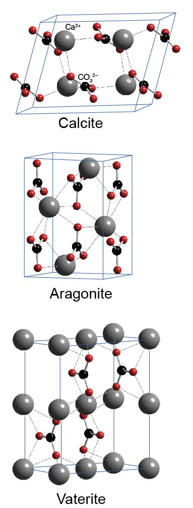 Calcium Carbonate Structure