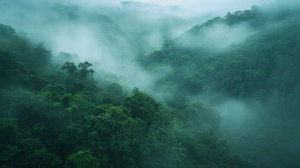 AI art, rainforest, mist, drone photo, aerial view, green | 5824x3264 ...