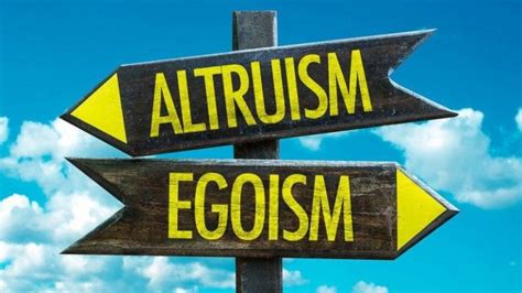 8 Egoistic Altruism Examples – StudiousGuy