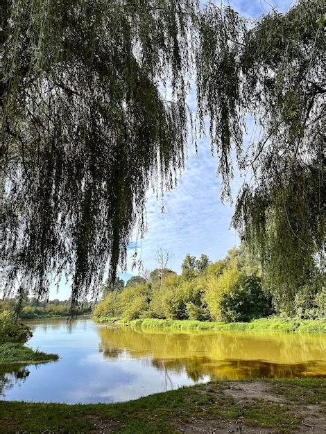 Premium Photo | Photo of nature in belarus