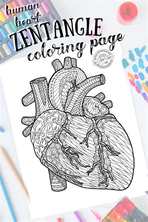 Detailed Zentangle Human Heart Coloring Page Kids Activities Blog