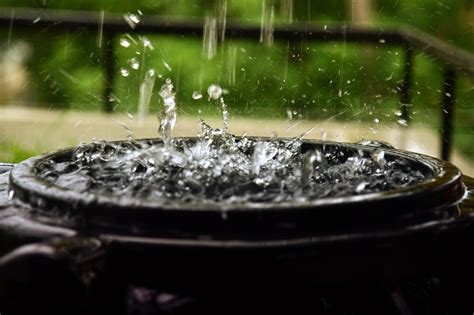 A Guide to Rainwater Harvesting - ThermoHouse