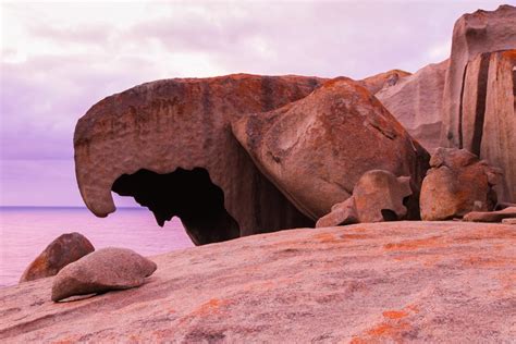 Why you should go to Kangaroo Island [Photos/Video] | Le Big Trip