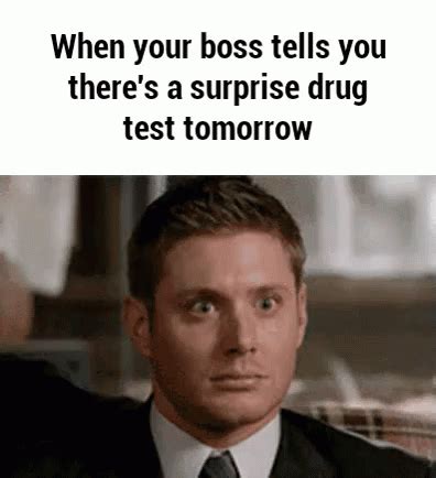 When Your Boss Tells You There'S A Drug Test Tomorrow GIF - Drug Test Tomorrow Boss - Discover ...