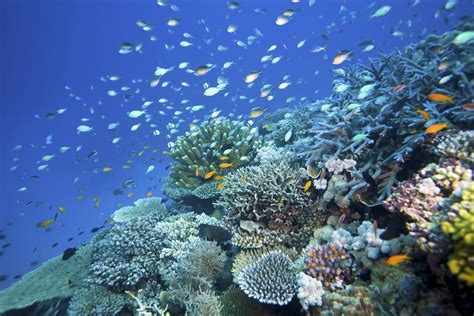 Travel Tips for Sights on the Way to the Great Barrier Reef