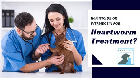 Immiticide or Ivermectin for Heartworm Treatment? - Spay and Neuter Clinic in Austin | Emancipet