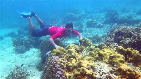 Guillaume snorkeling - île de Tanekely - Nosy be - MADAGAS… | Flickr