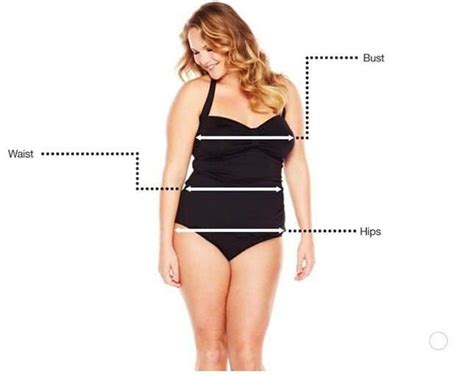 What is my plus size body shape | Dresses Images 2024