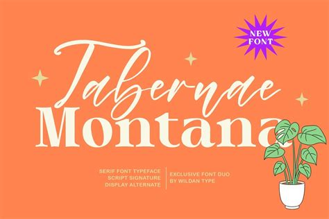 Tabernae Montana Script Font | xFonts.pro