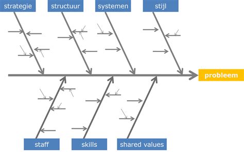 Kaoru Ishikawa Diagram