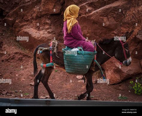 Berber woman riding a donkey, Ait Blal, azilal province, Atlas mountain ...