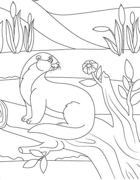 Otter With Flower coloring page - Download, Print or Color Online for Free