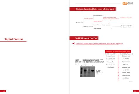 Affinity Chromatography-Chromatography Resins-Tofflon Life Science