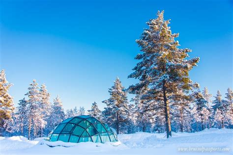 Kakslauttanen Arctic Resort - Truly 'Once-in-a-lifetime' - Bruised ...