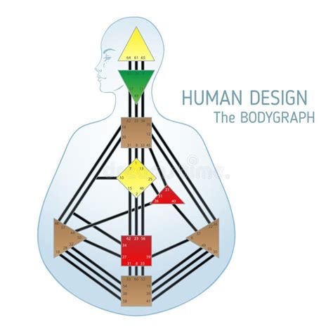 Blank Human Design Chart Stock Illustrations – 736 Blank Human Design Chart Stock Illustrations ...