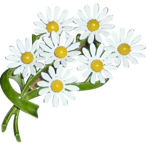 Daisy clipart daisy bouquet, Daisy daisy bouquet Transparent FREE for ...