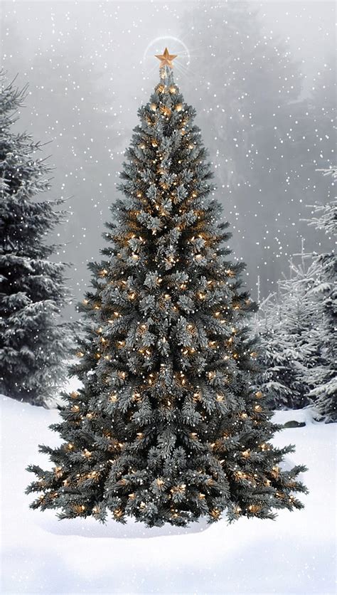 Christmas Tree, holiday, lights, snow, HD phone wallpaper | Peakpx