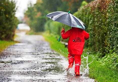 Trotz Wetter-App im Regen? Was Vorhersagen können – und was nicht - Bildung & Wissen - Badische ...