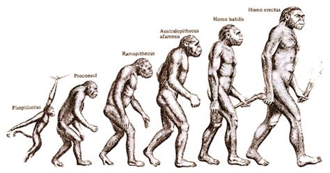 Look What I Found Out Today: Evolution: it's just a theory