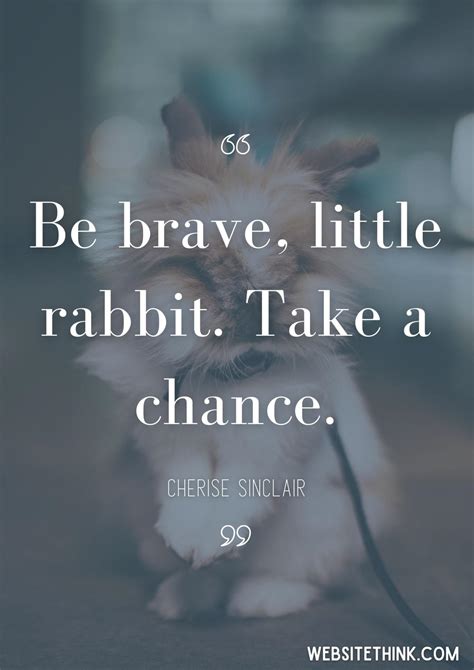 73+ Cute & Cuddly Quotes About Rabbits! 🥇[+ Images!]