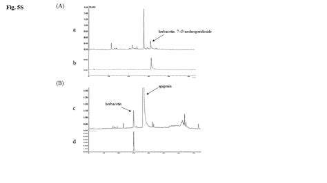 Efficiently prepared ephedrine alkaloids-free Ephedra Herb extract: a ...