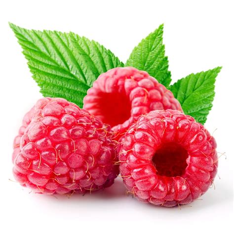 Heritage Red Raspberry Plant - 2.5" Pot - Walmart.com