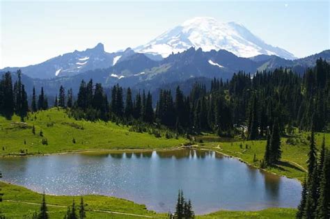 Seattle: visite tout-inclus du petit groupe du mont Rainier Park ...