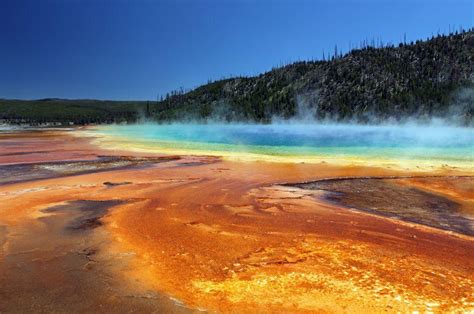 Yellowstone National Park Photo Gallery | Fodor's Travel