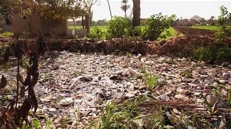 Egypt: The Nile River is suffering from plastic pollution | World News | Sky News