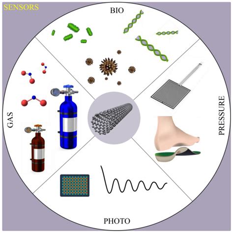 Chemosensors | Free Full-Text | Advances on Sensors Based on Carbon Nanotubes