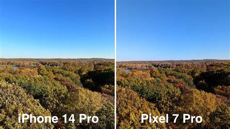 Camera Comparison: Pixel 7 Pro vs. iPhone 14 Pro Max - All About The Tech world!